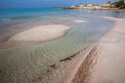 Montedarena
